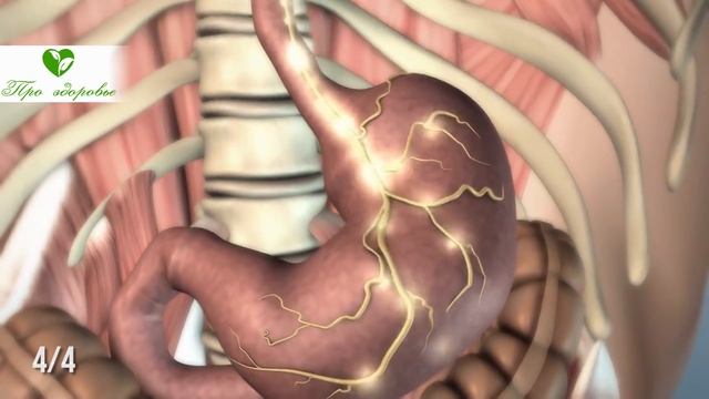 Разжижает даже самую густую кровь! Польза для сосудов, сердца, мозга смотреть онлайн