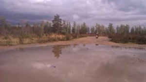 Скутер Stels tactic 50
