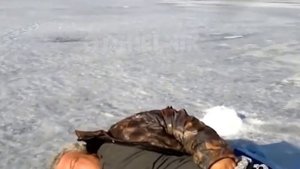 РОСТИК УПАЛ/ #ХОЗЯЕВА #РОСТИК