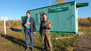 Железнодорожная ветка Дурово-Владимирский Тупик