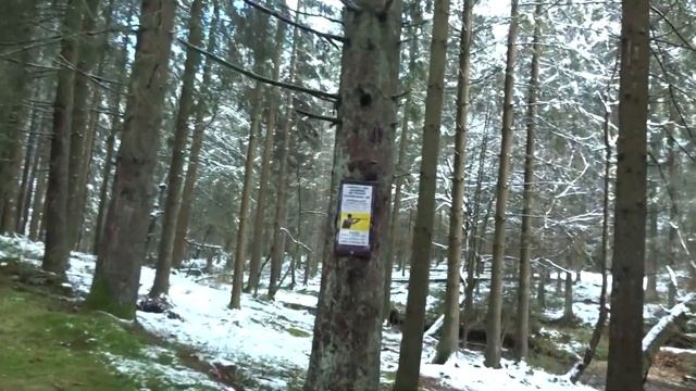 Новогодний марш .... #насратьнавирус .... часть 2 смотреть онлайн