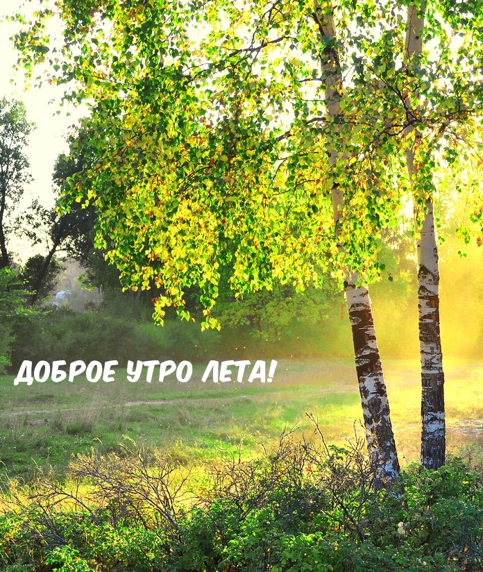 Доброе Утро! Утро Началось! Позитив с утра!