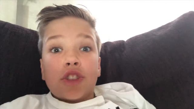 Как ухаживать за мальтипу смотреть онлайн