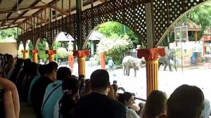 Зоопарк Пхукет 2012 \ Phuket Zoo 2012