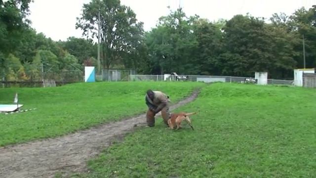 Мондьоринг. Охрана вещи, фишки от Херве.