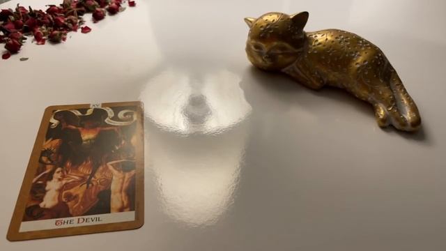 Карта дня. Таро гадания от Никки Ами смотреть онлайн