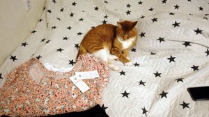 Покупки одежды на осень, море и для дома на ВБ и Озоне