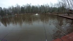 Ловим форель на поплавок, пикер и форелевую пасту