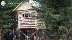 Охота в Калужской области – Охотхозяйство "Озерное" охота на лося в Калужской области