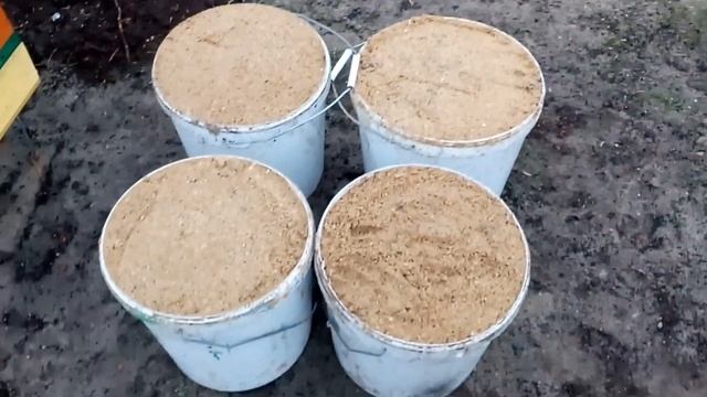 Посев фацелии в ручную ,просто, для своих любимых пчёл #посевмедоносов #фацелия #своимируками #мёд смотреть онлайн