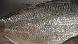 Как быстро очистить рыбу от чешуи Способ Обзор товара Купить приспособление для чистки рыб