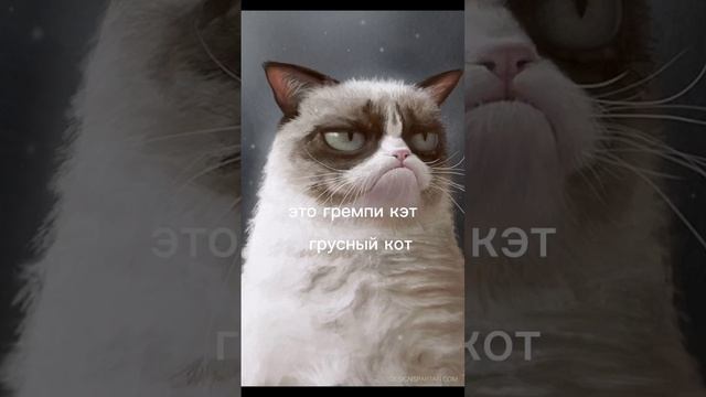 название мемов животных часть 2 #хочувреки