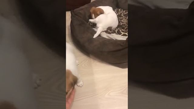 18 сентября 2020 г. смотреть онлайн