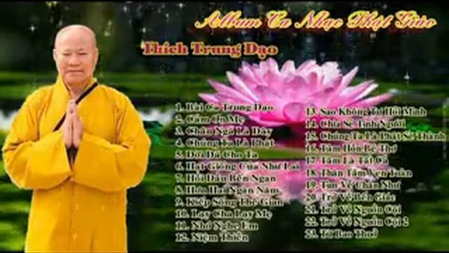 HẠT GIỐNG CỦA NHƯ LAI.Thích Trung Đạo. смотреть онлайн