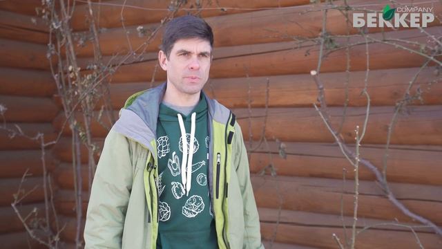 Плетистая роза обрезка весной. Как обрезать плетистую розу? Уход после зимы