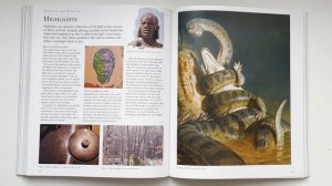 TOP 10 ART BOOKS For ALL Artists *NSFW* (Artistic Nudity)
