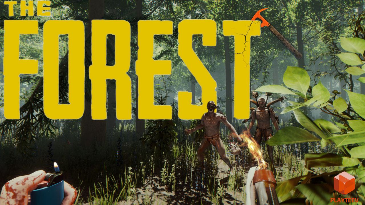 Кооп сюжет. The Forest игра с друзьями. Прохождение Витька the Forest. Доз сурвайвал сюжет. Игры Форест тик ток.