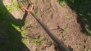 Ручной культиватор из СССР и современный. Проводим опыты, объявляем победителей! Мой отзыв.