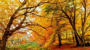 Отношение к старшим. О стереотипах.