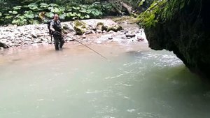 ФОРЕЛЬ НА РОЖНЕ В КОСТРЕ РЫБАЛКА В ГОРНЫХ РЕКАХ РЕЦЕПТЫ СЮФ