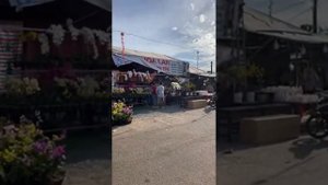 Новый Год на Фукуоке: едем за подарком для местных | Новогодний стрим. Новый год во Вьетнаме