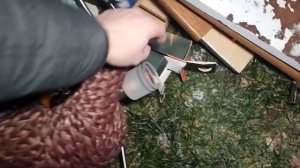 Что можно найти на мусорках в Германии??