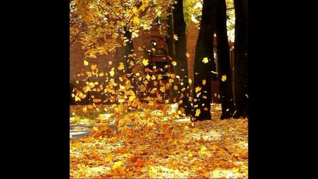 "Созвучие сердец" смотреть онлайн