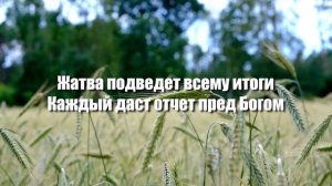 "Жатва подведет всему итоги" | Настя Зави | Христианская песня на жатву
