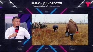Рынок дикоросов