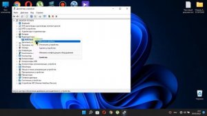 Тормозит курсор мыши.Windows 11