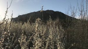 Поездка по бездорожью. Крым | 4x4