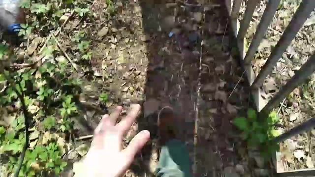 В ПОИСКАХ МАТОК ! Ищем муравьев на улице !В ПОИСКАХ МАТОК ! Ищем муравьев на улице ! смотреть онлайн