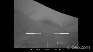 Охота на волка в Дагестане с Мурзабеком волки напали на стадо коров