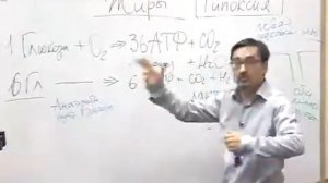 откуда берется хроническая усталость?