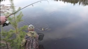 ЯЗЬ ПОПЕР ДУРОМ!!! НА РЕЧКЕ ВЫНГАПУР. НА СЕВЕРЕ СНЕГ ЕЩЕ А МЫ НА ЛЕТНЕЙ РЫБАЛКЕ УЖЕ.ОТКРЫТИЕ СЕЗОНА.