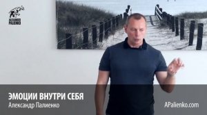 Эмоции внутри себя. Александр Палиенко.