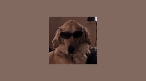 Песни, чтобы потанцевать, поднять настроение, отдохнуть, собраться в школу или на работу