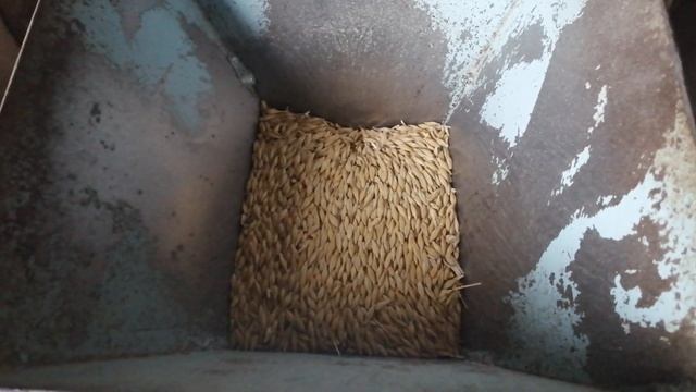 Помол Ячменя для Кур смотреть онлайн