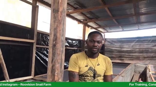 Free Practical Snail Farming Training смотреть онлайн