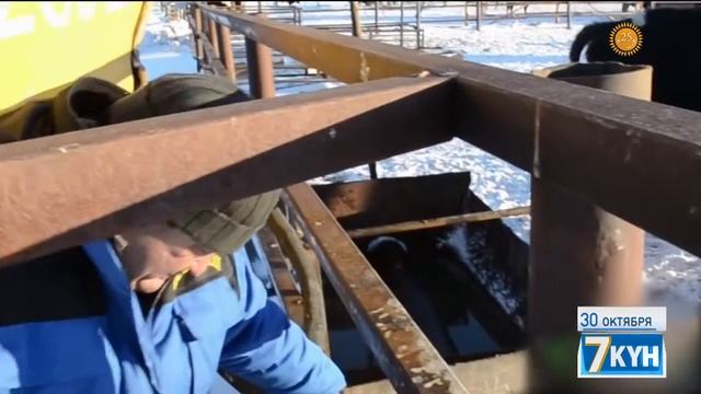 Отборное молоко смотреть онлайн