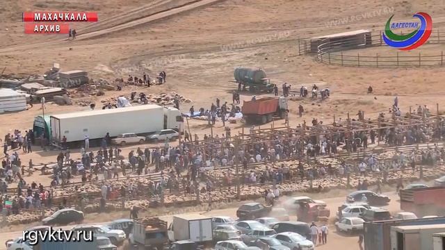 12 августа мусульмане всего мира будут праздновать Курбан-байрам смотреть онлайн