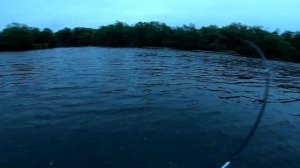 Рыбалка на Камчатке река Плотникова август 2019