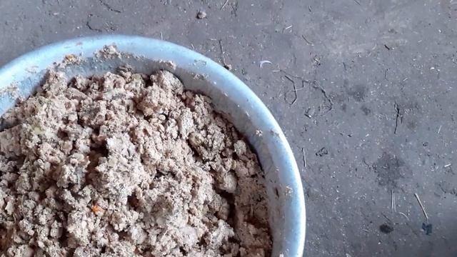 мешанка для кур с отрубями.