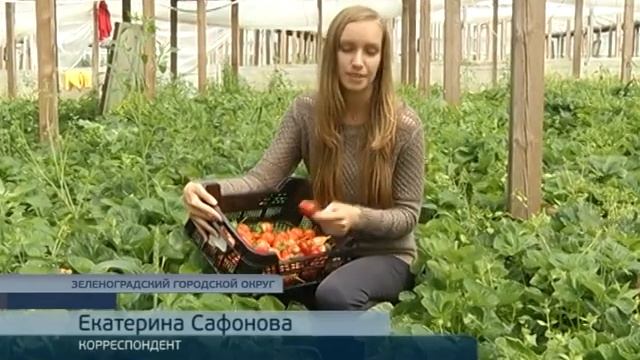 Собственное производство
