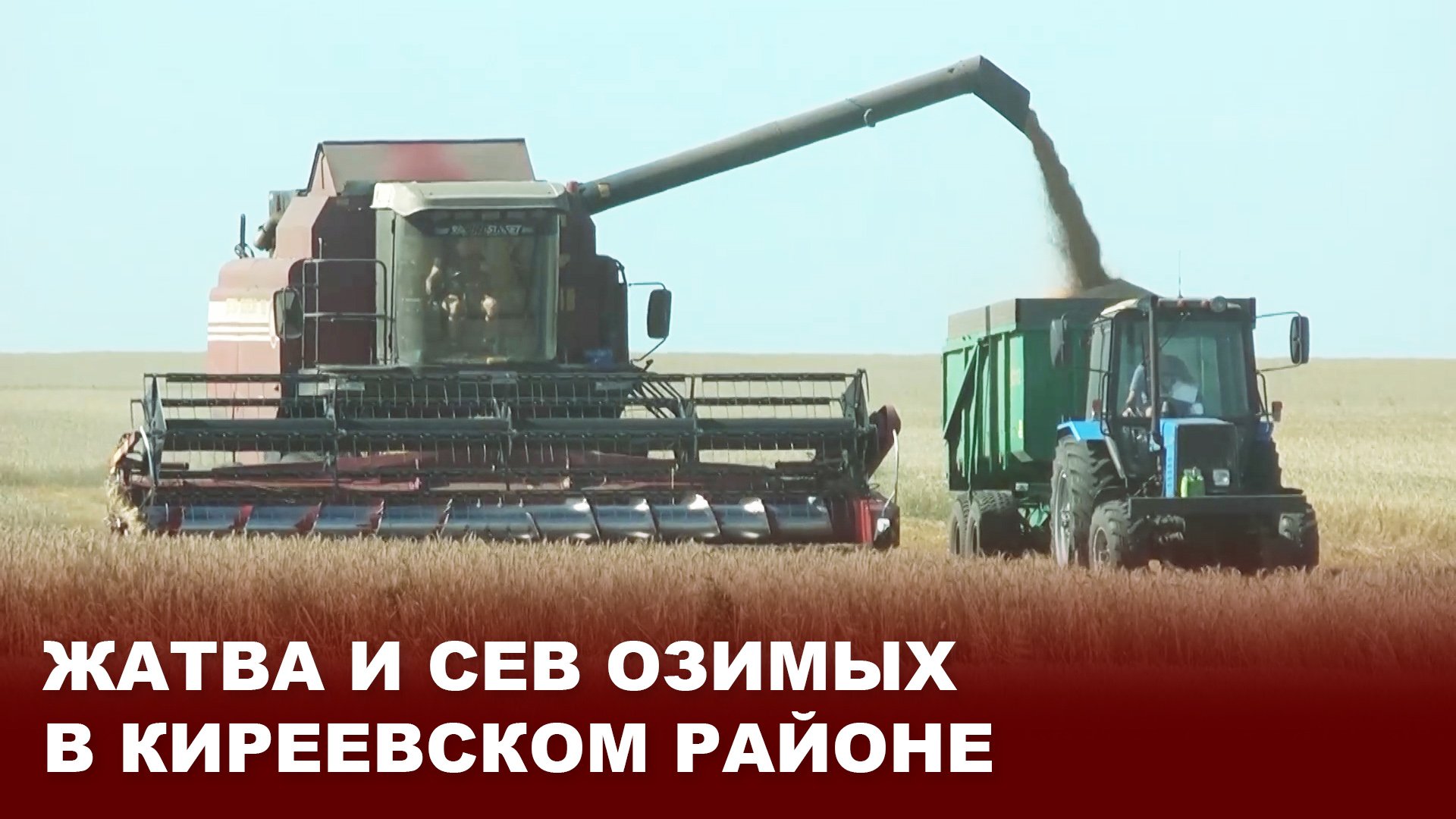 Жатва и сев озимых в Киреевском районе