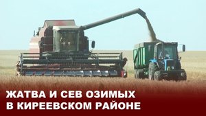 Жатва и сев озимых в Киреевском районе