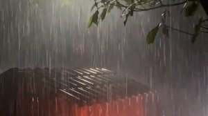 Шум дождя и грома | Звуки проливного дождя в лесу у хижины, спите спокойно и легко.