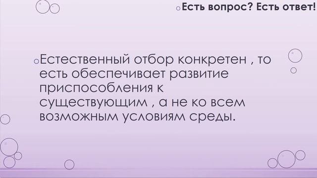 Почему достигнутые организмом конкретные адаптации носят относительный характер? [1]