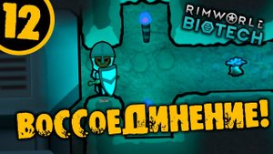 #12 ВОССОЕДИНЕНИЕ Прохождение Rimworld НА РУССКОМ