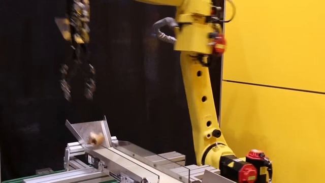 Захват роботом Fanuc деталей из неорганизованной тары с применением Fanuc 3D Area Sensor